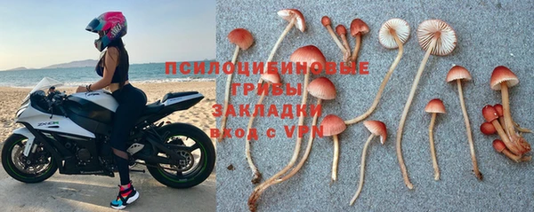 бошки Бронницы