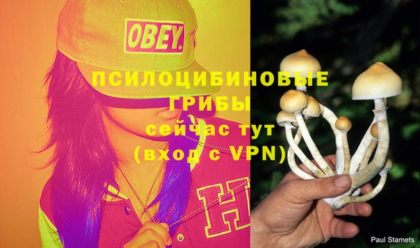 бошки Бронницы