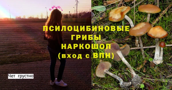 бошки Бронницы